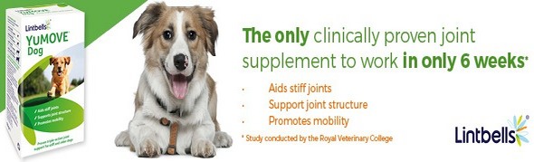 Animed Direct Discount Code Find All Animed Direct Vouchers Available Today