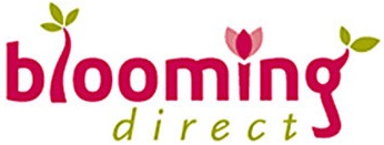 Blooming Direct logo