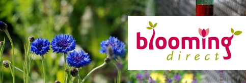 Buy Trees and Shrubs at Blooming Direct