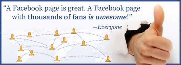 Facebook Fans