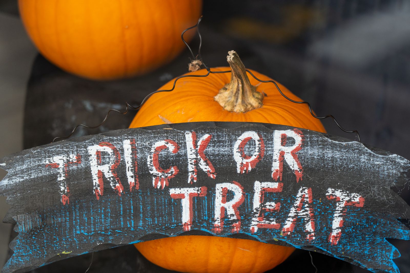 Shop Halloween sales for discounted costumes, decorations, and candy! 