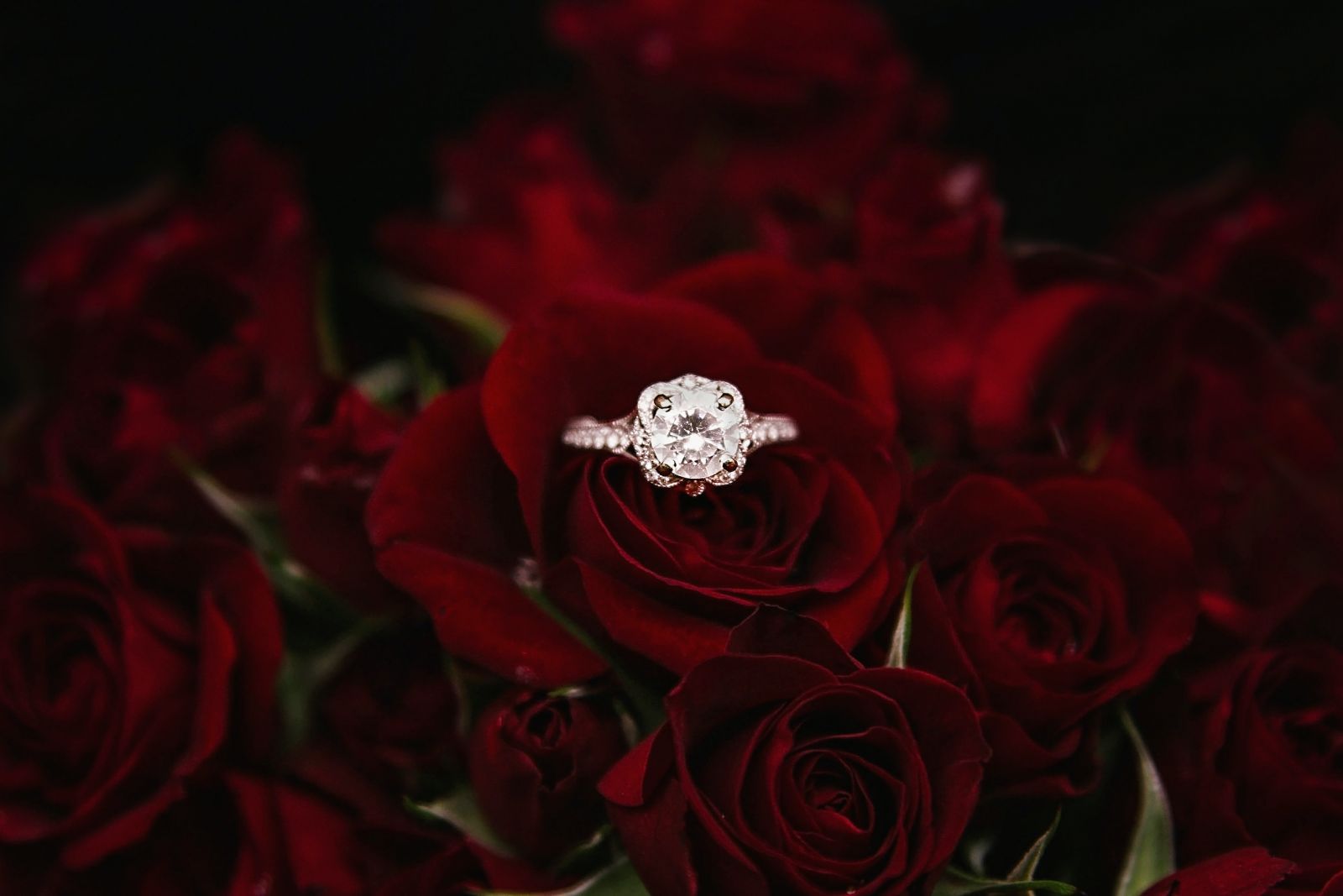 Find the ring of your dreams for a great price at Blue Nile.